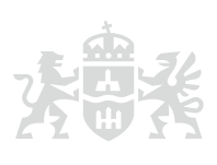 Hungarian icon